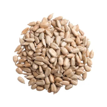 GIRASSOL SEM CASCA 100g