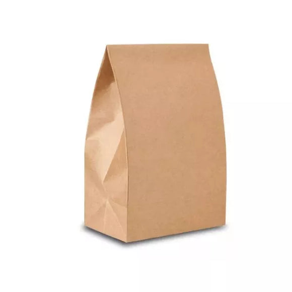 Saco de Papel Kraft 24x15,5x31Cm