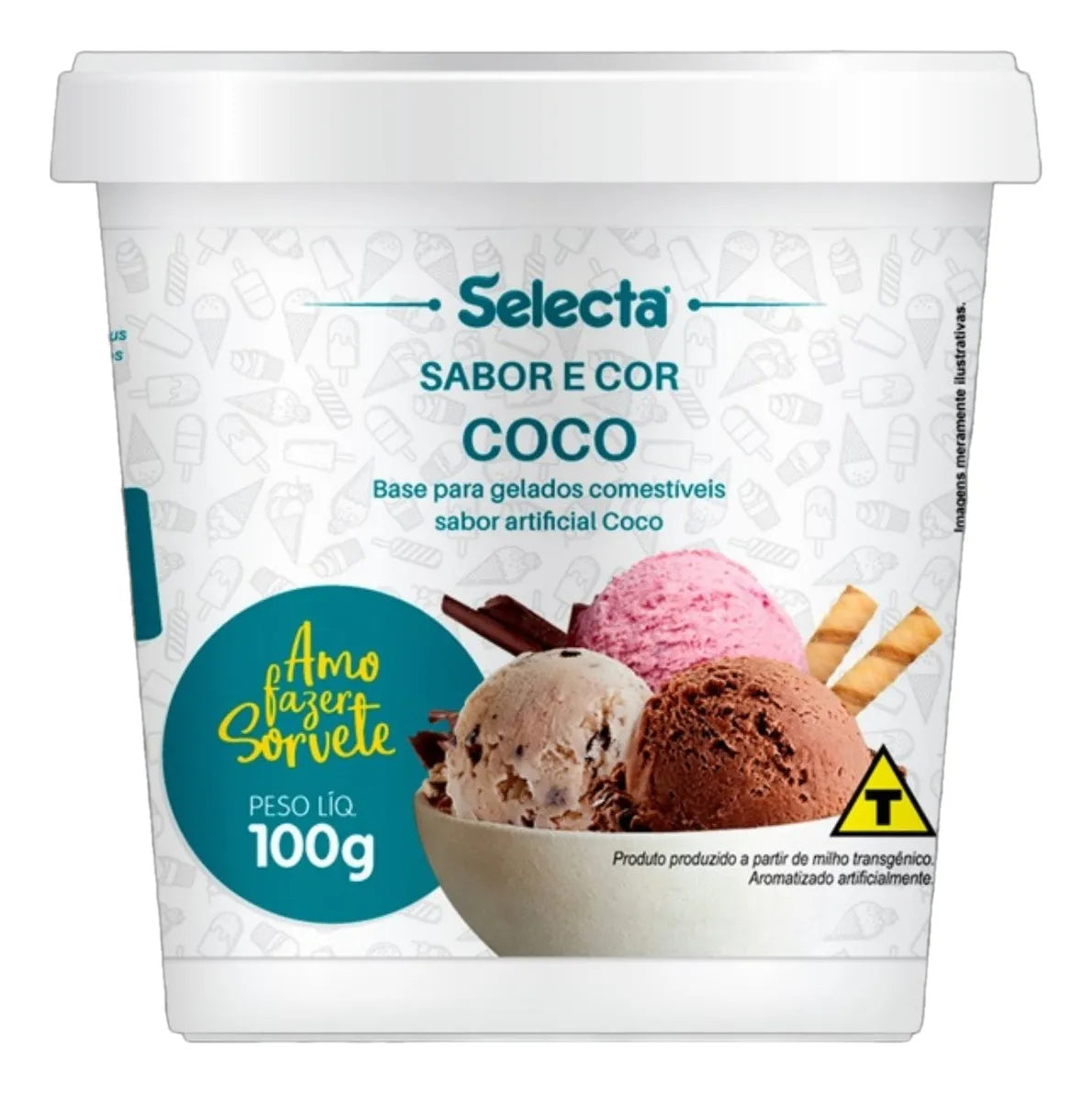 Sabores Para Base De Sorvete Duas Rodas 100G - COCO