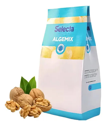 Sabores Para Base De Sorvete Selecta 1kg - NOZES