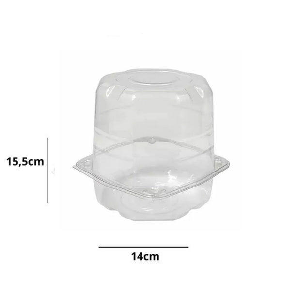 G33 Panetone Galvanotek