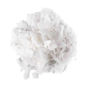 Chips De Coco (Fitas) 100g